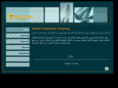united-consultants.net