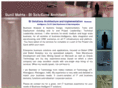 bisolutionsarchitect.com