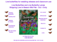 butterfliesandblueberries.com