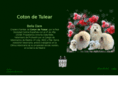 cotondetulear.es