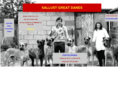 sallustgreatdanes.com