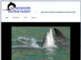 dolphinstudy.com