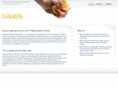 rcxperts.com