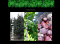 wintergreentreefarmohio.com