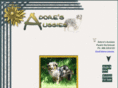 adoresaussies.com