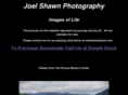 joelshawn.com