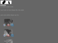 monkeycatandpanda.com
