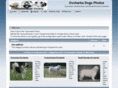 ovcharkadogs.com
