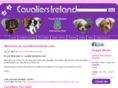 cavaliersireland.com