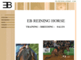 ebreininghorse.com