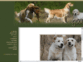 gladtailgoldens.com