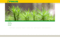 pinus-profiles.com