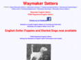 waymakersetters.com