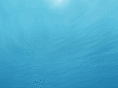 pubsontheriver.com