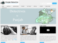 punjabdetective.com