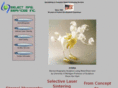 select-eng.com