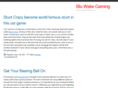 bluwake.com