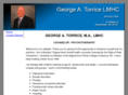 georgetorrice.com
