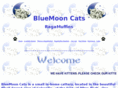 bluemooncats.com