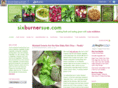 sixburnersue.com