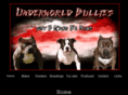 underworldbullies.com