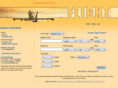 cheapairticket.biz