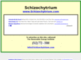 schizochytrium.com