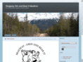 skagwaygrinandbearit.com