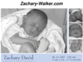 zachary-walker.com