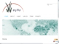 aylluinitiative.org