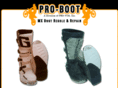 pro-bootmx.com