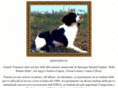 springerspaniel.it