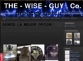 the-wise-guy.com