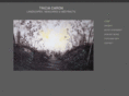triciacaronart.com