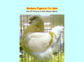 modenapigeons.com