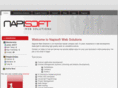 napisoft.com