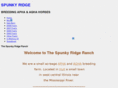 thespunkyridgeranch.com
