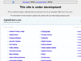 digitalfishers.com