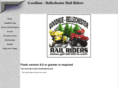 gbrailriders.com