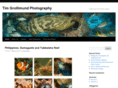 timgimages.com