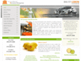 lemonlawcourt.com