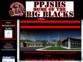 ppjshs.com