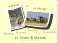 tourisme-equestre77.org