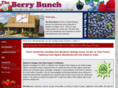 berry-bunch.com