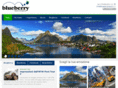 blueberrytravel.info