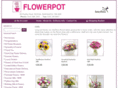 flower-pot.co.uk