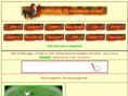 minnesotaminis.com