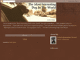 mostinterestingdogintheworld.com