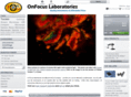 onfocuslaboratories.com