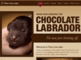pinelinelabs.com